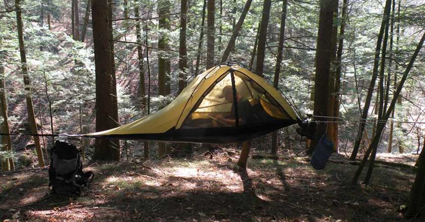 Image via&nbsp;Treez Tree Tents