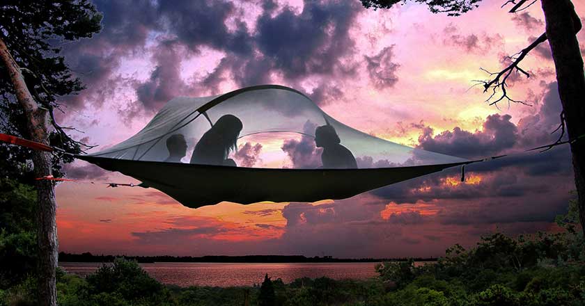 The Tentsile Stingray&nbsp;
