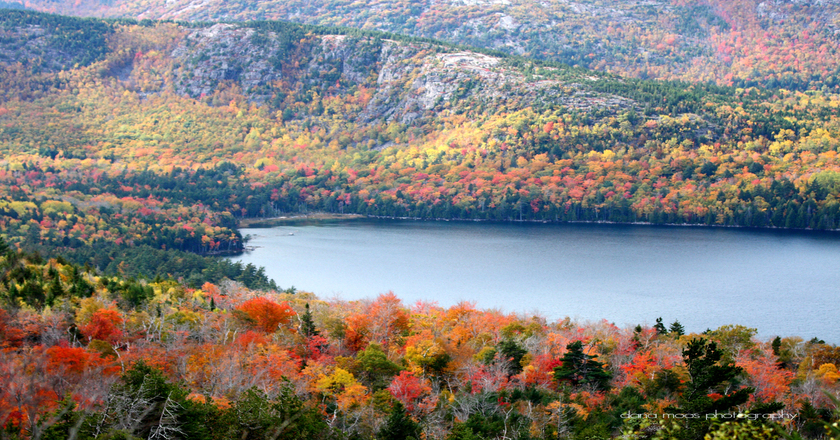 Fall colors in Acadia National Park