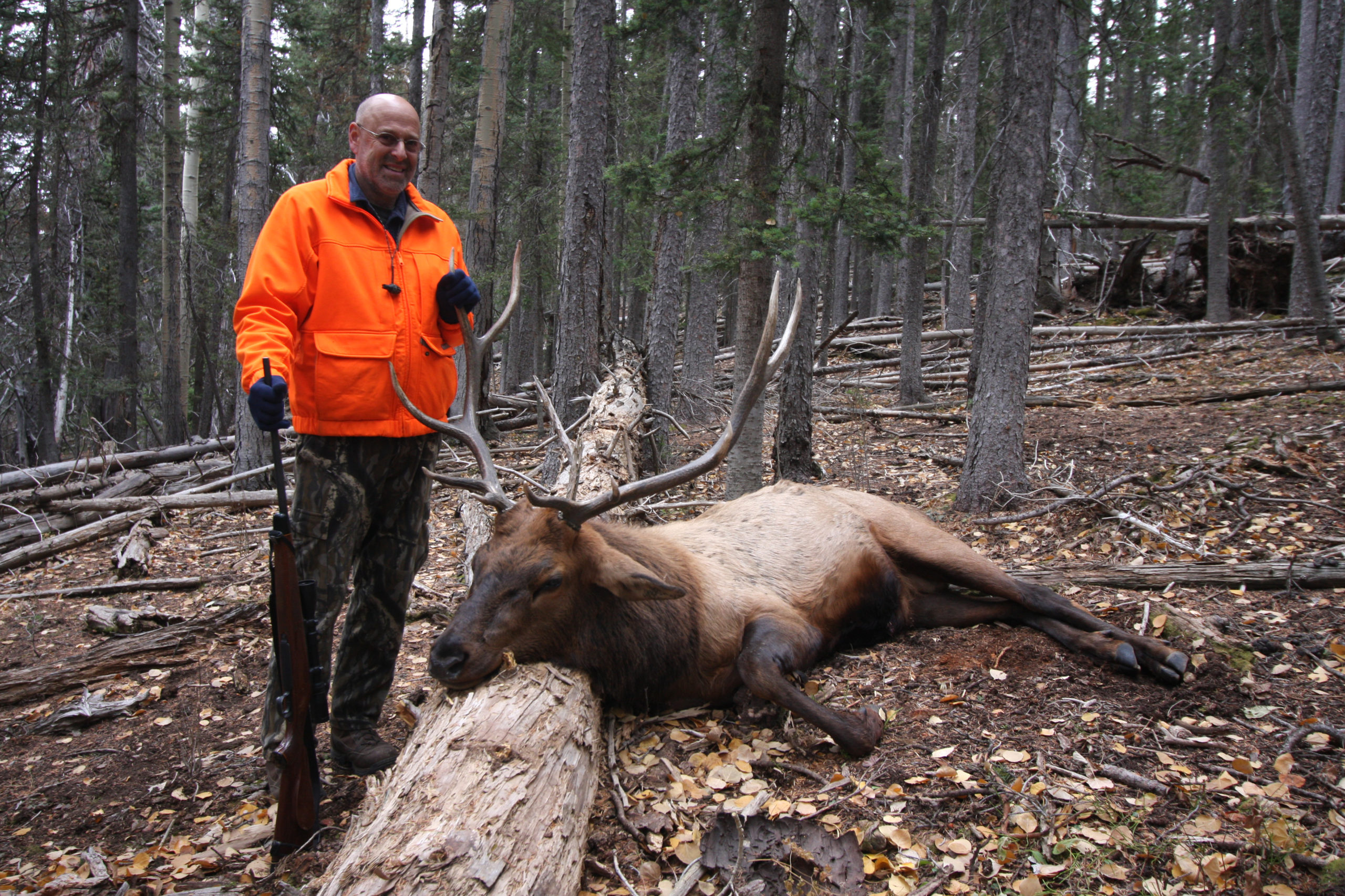 Elk Hunting Techniques