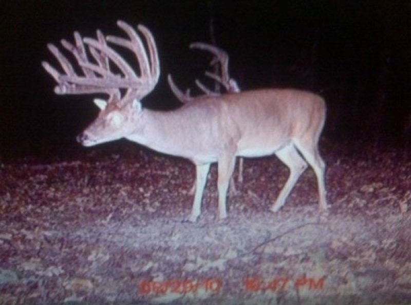 trail cam