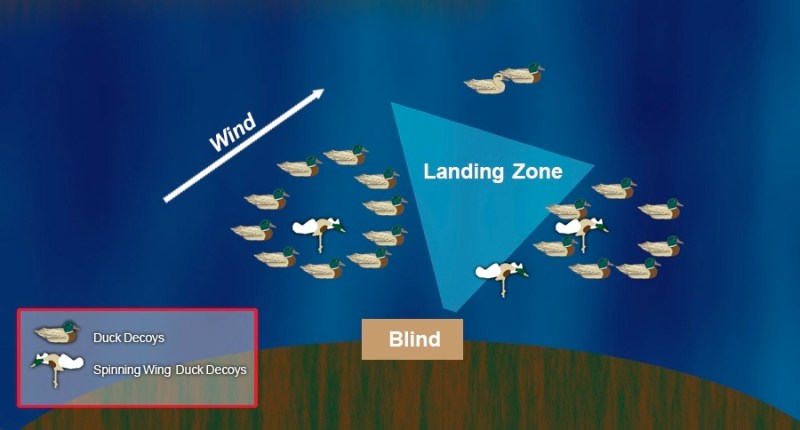 duck decoy spreads