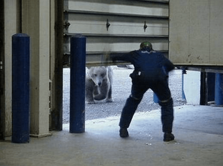 bear garage