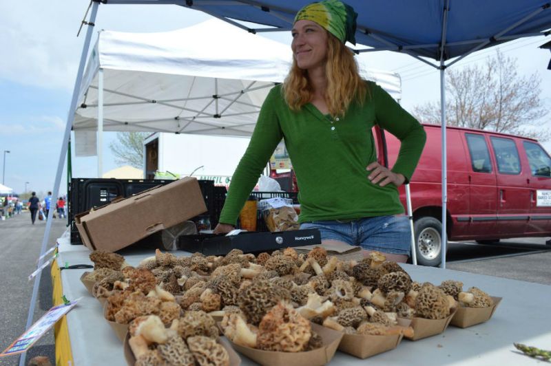 http://homegrowniowan.com/morel-of-the-story-tremendous-year-predicted-for-mushrooms-but-can-you-grow-them/