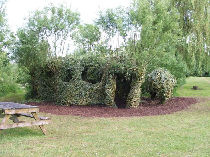 living structures