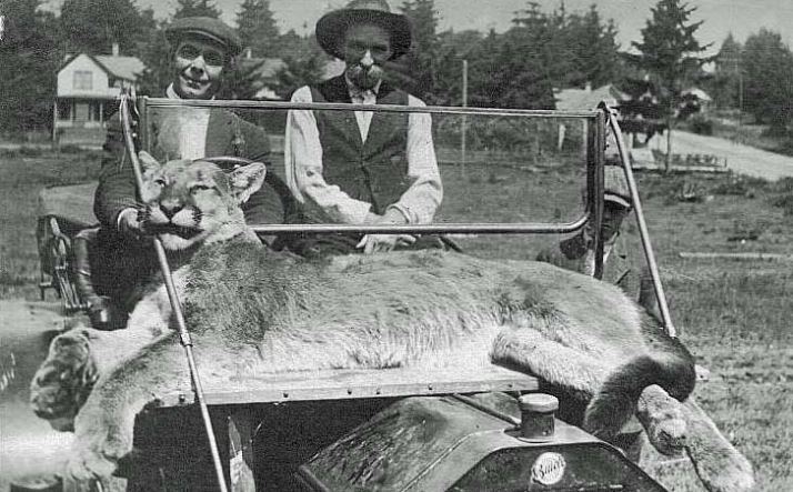 hunting photos