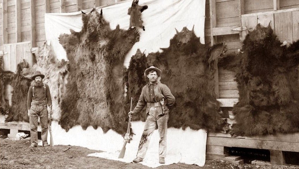 hunting photos