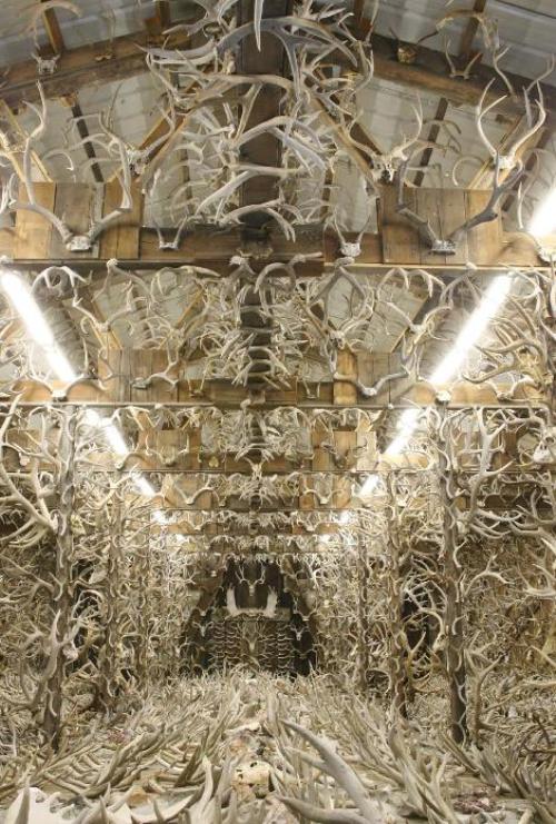 1antlerman...