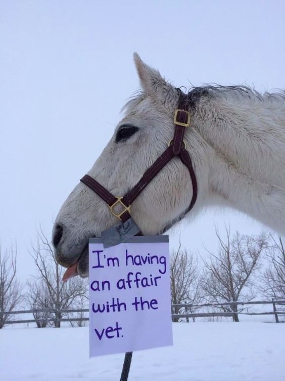 affair