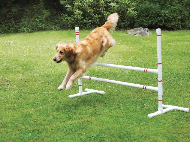 standard jump-this old house