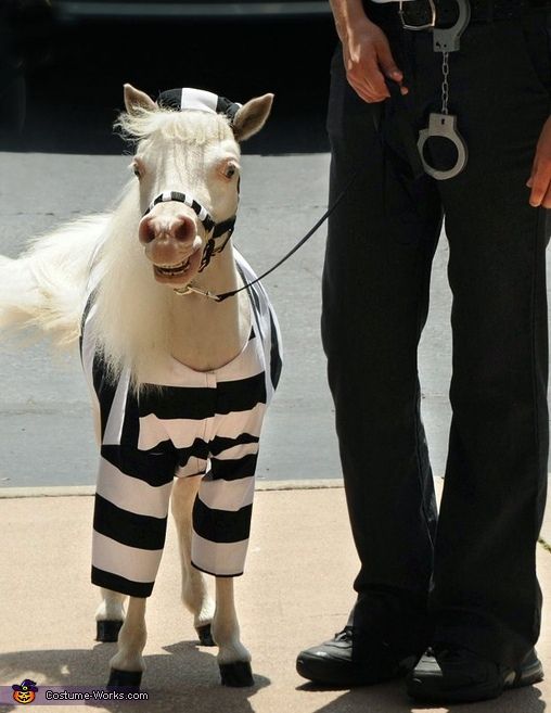 jail
