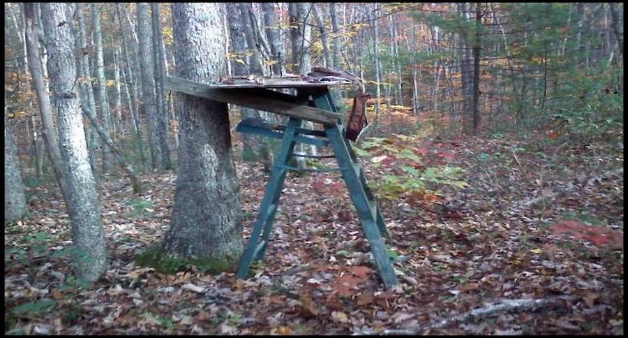old treestands