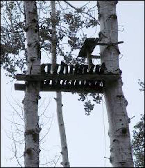 old treestands