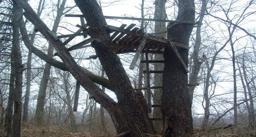 old treestands