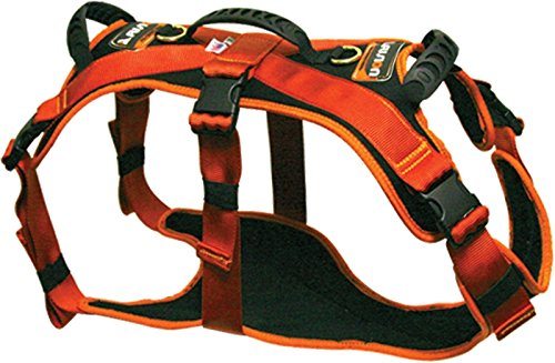 dog full body harness