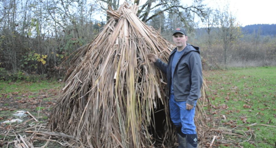 cattail shelter