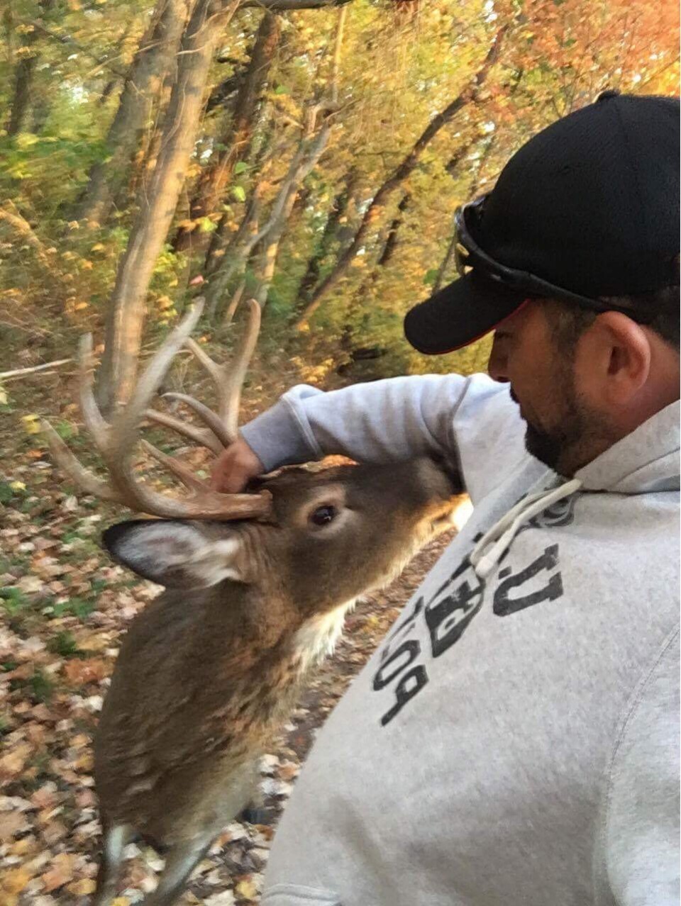 buck