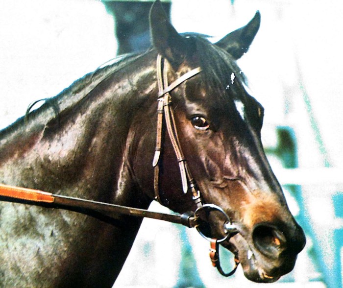 Ruffian Headshot