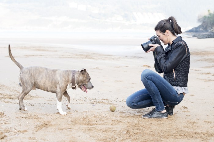 Professional Photoshoot