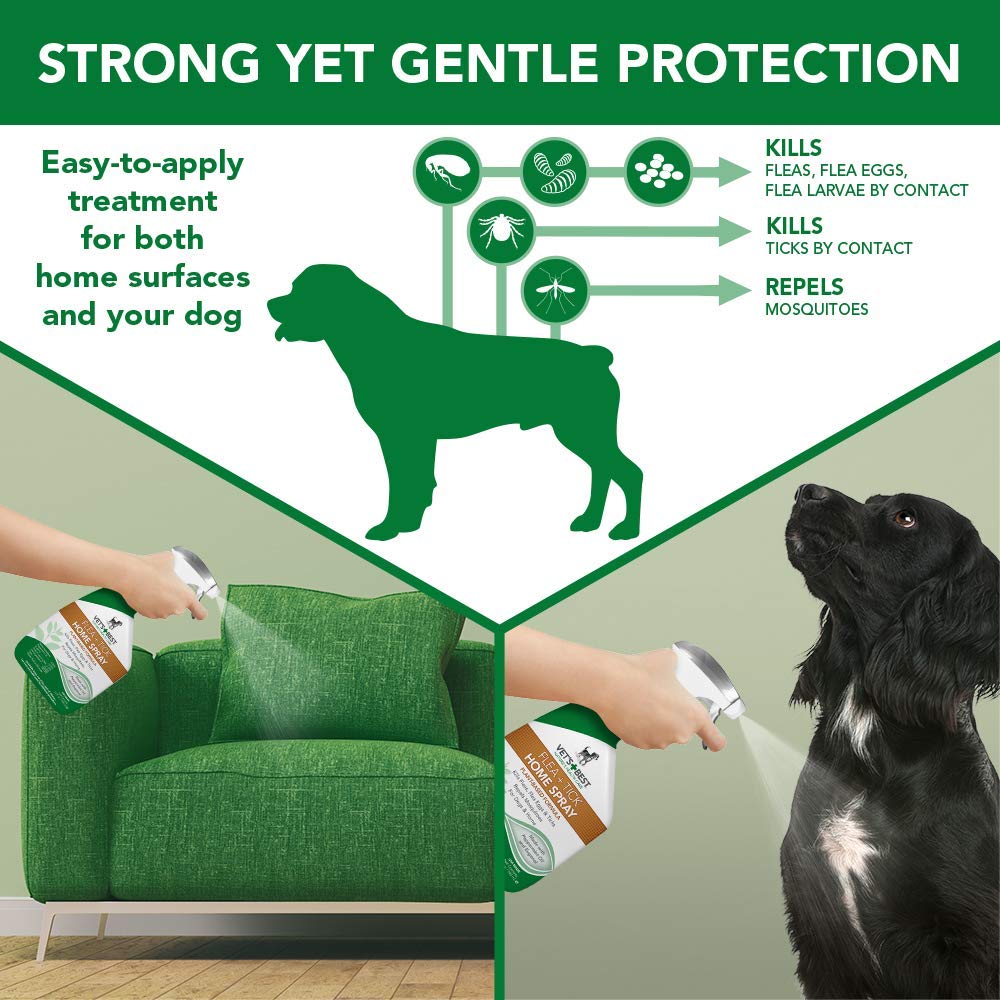 Flea and Tick Spray