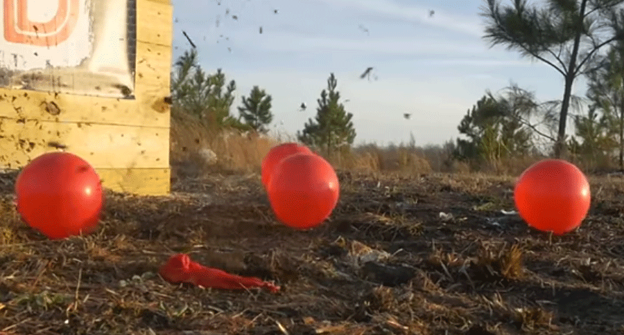 5 fun plinking targets