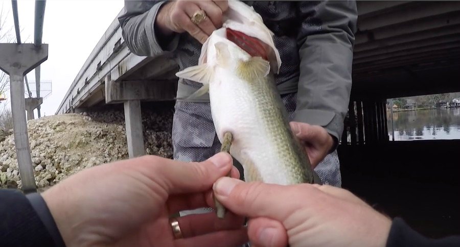 bass poop