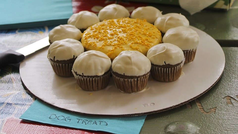 Dog Pupcakes