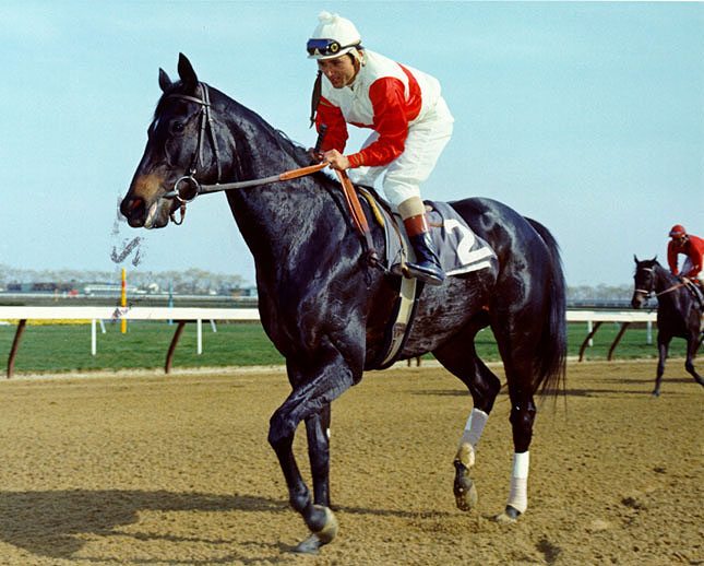 Ruffian And Jacinto Vasquez