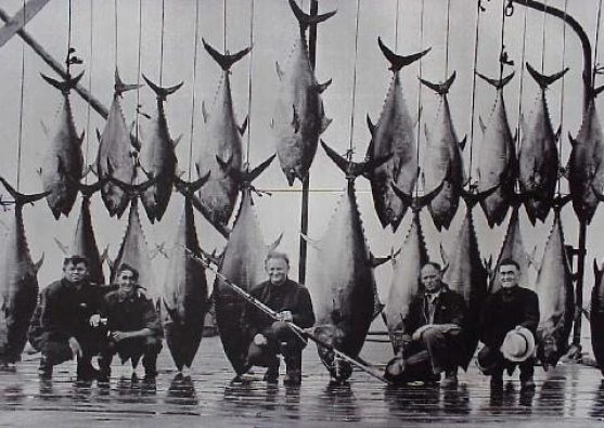 vintage saltwater fishing