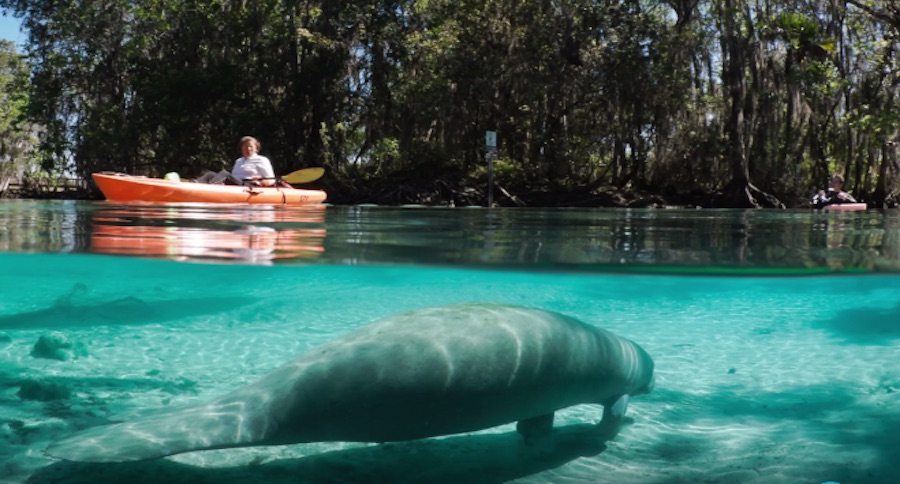 Florida springs