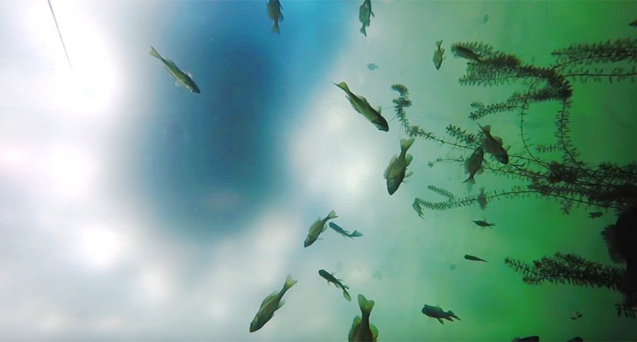 ice fishing camera underwater