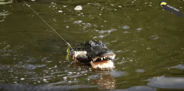 bass fisherman