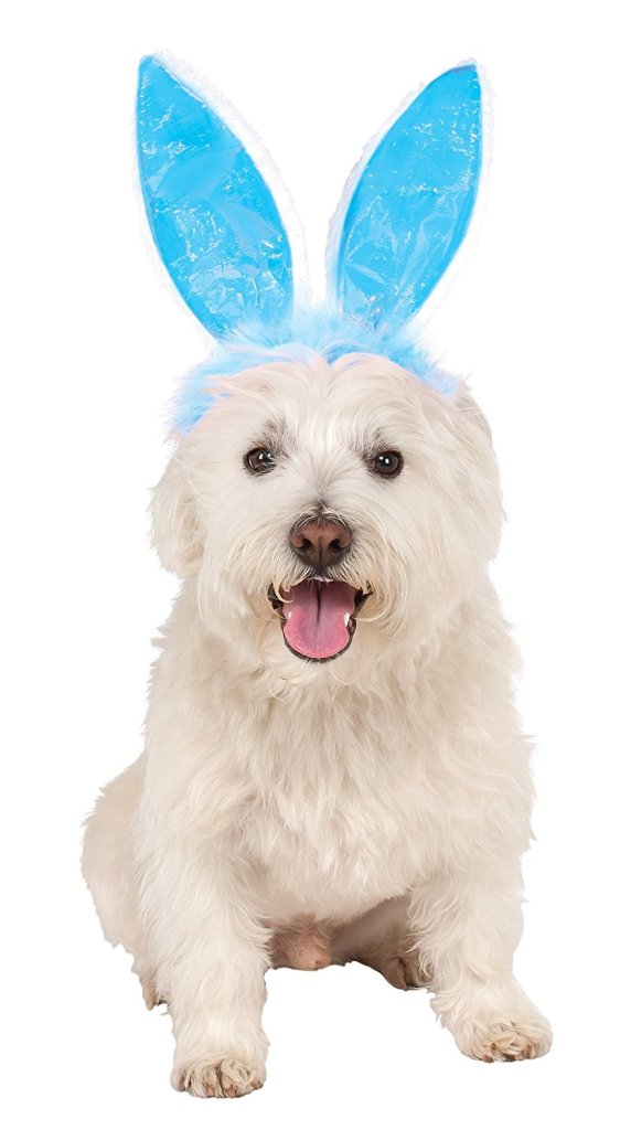 bunny ears for dog