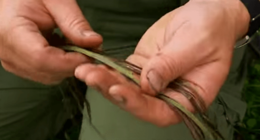 Ray Mears
