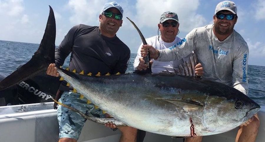 Louisiana Yellowfin