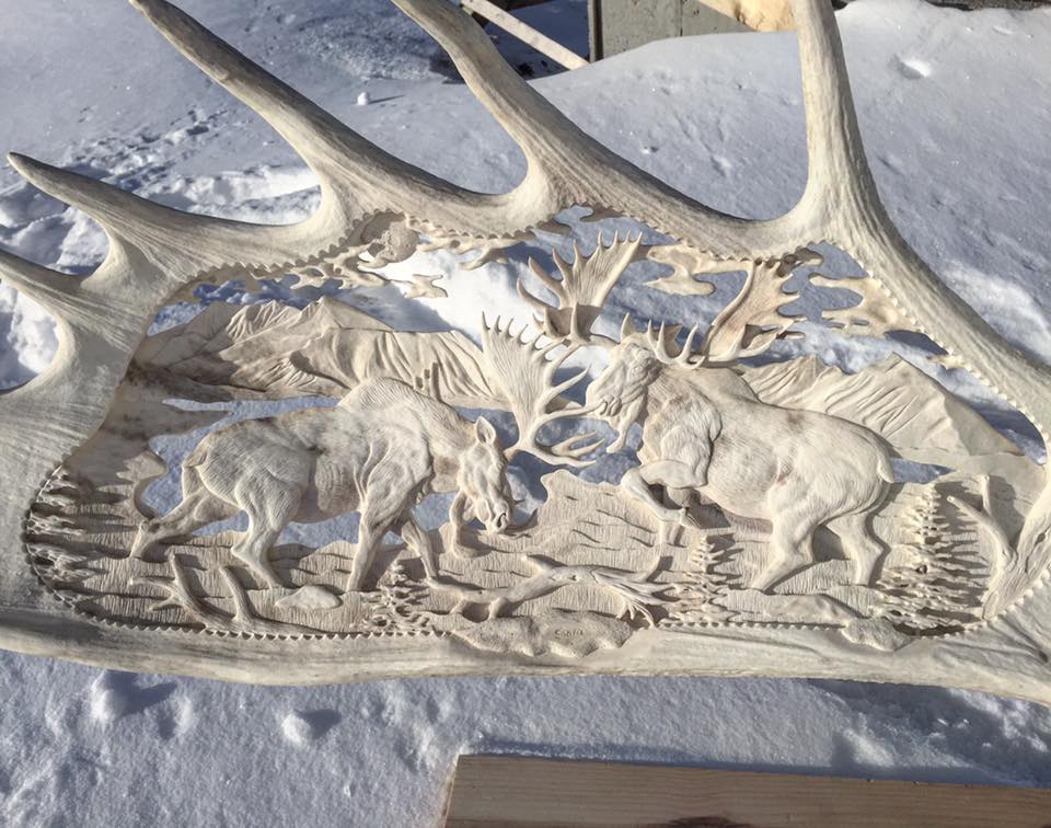moose antler carving