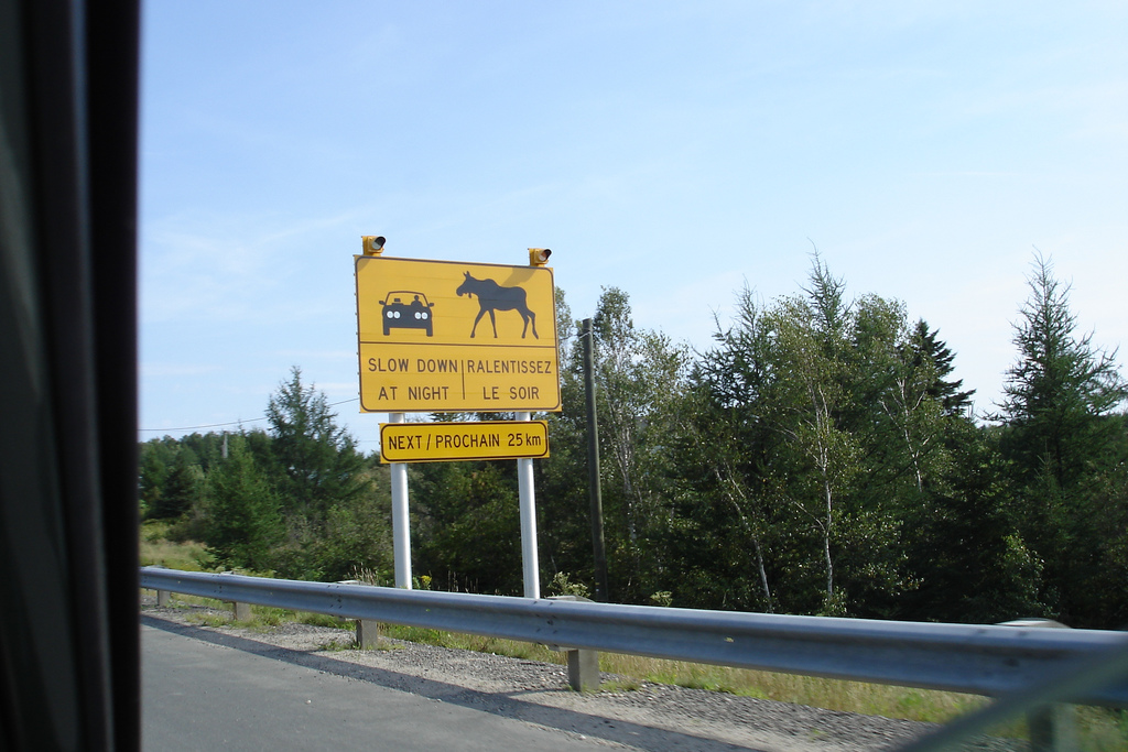 moose-sign