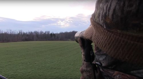 scouting turkey top pin outdoors