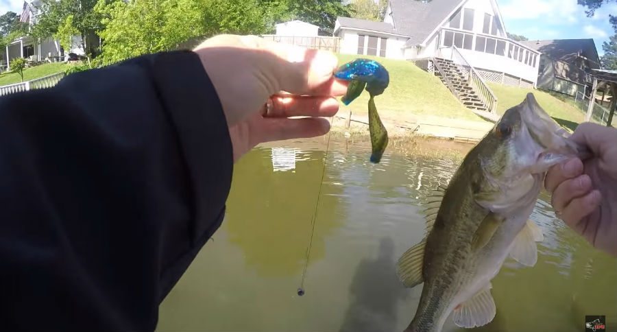 bass