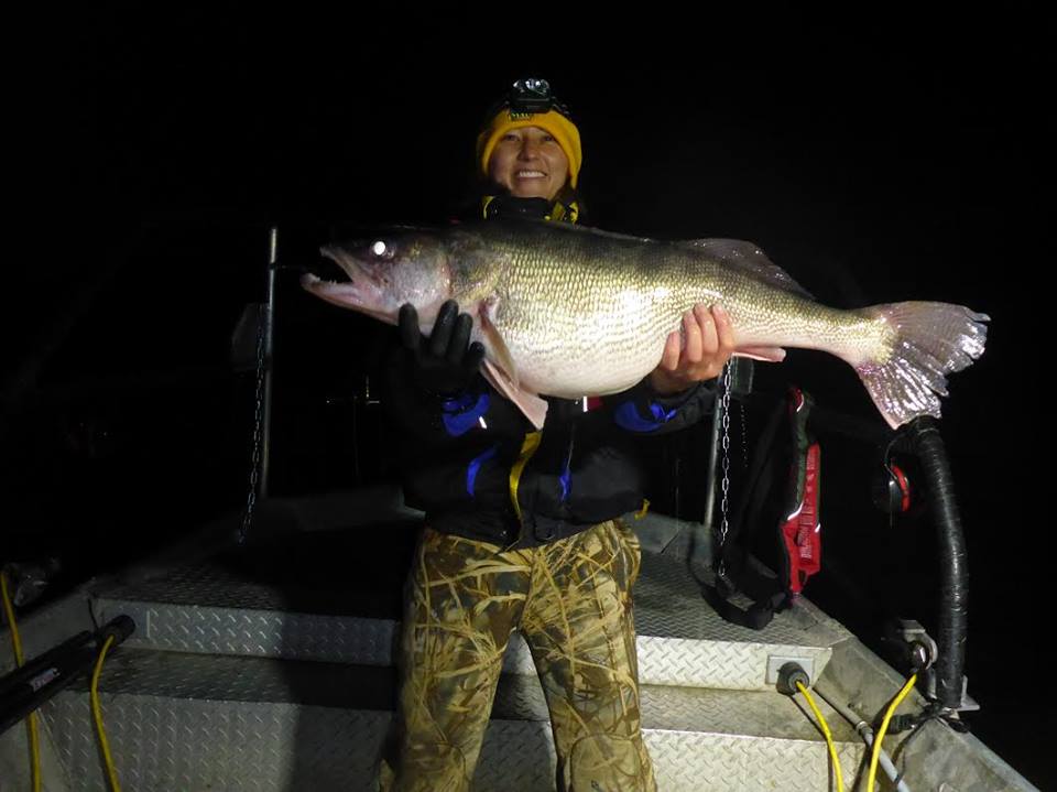 walleye