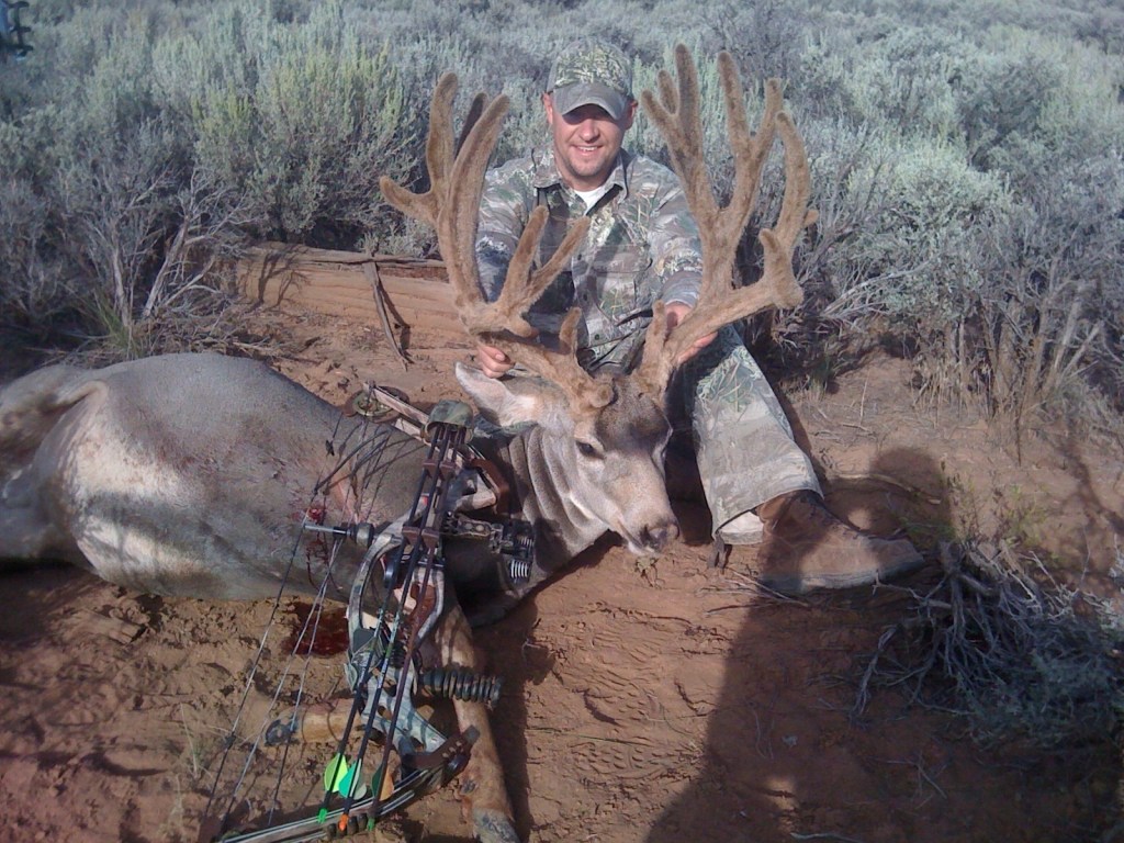 big buck big catch