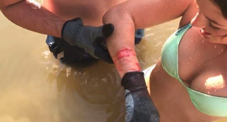 catfish noodling