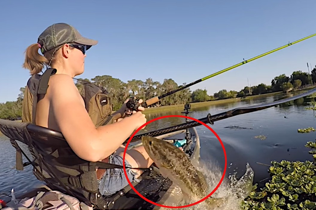 Bass Attack