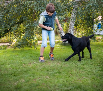 thermacell tick control system