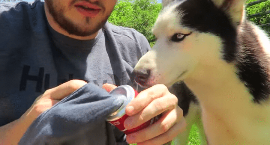 soda can
