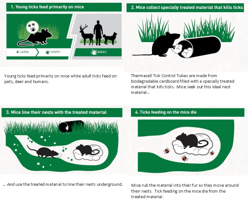 lyme disease thermacell tick control