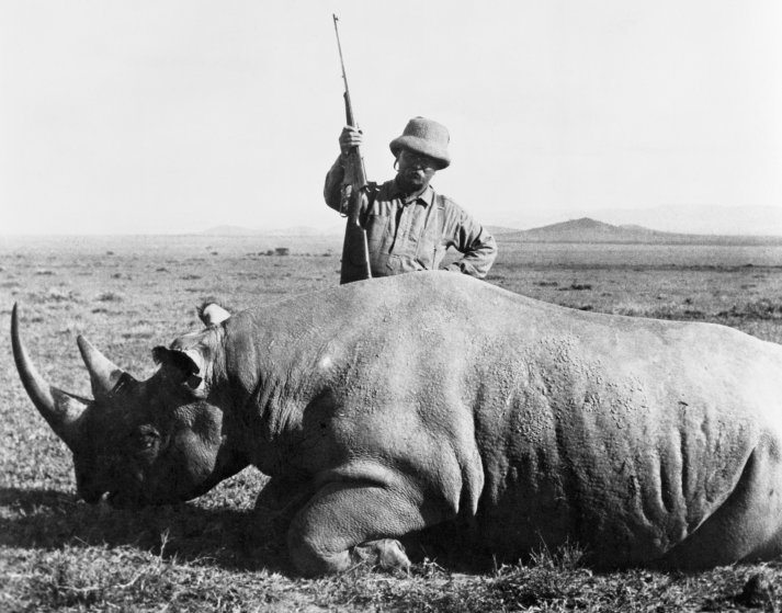 Corbis via Timeshows Theodore Roosevelt standing over the dead rhino. &mdash;- Image by &copy; Corbis