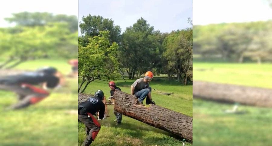catapult