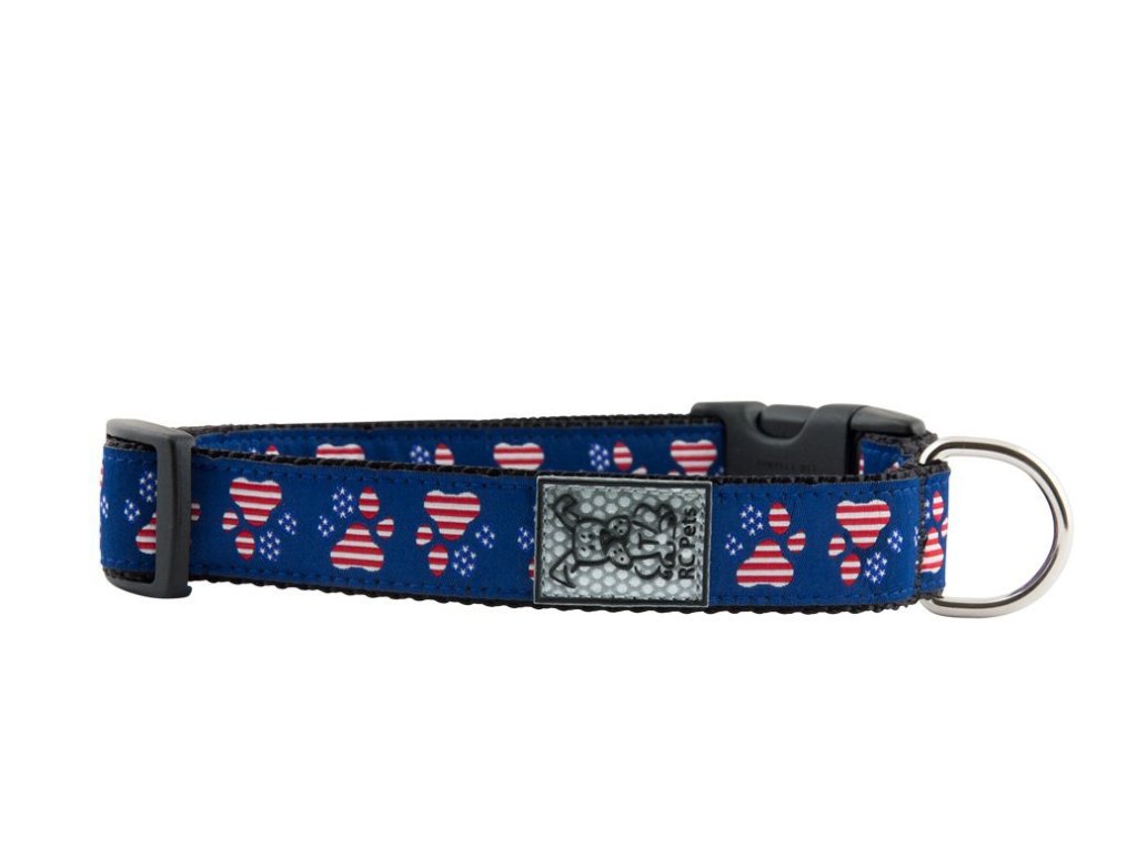 blue dog collar, nylon dog collar