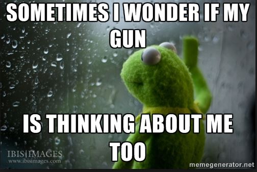 gun memes